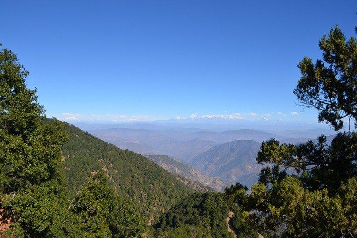 Nainital Nature Trekking Experience (4 Hours guided experience)