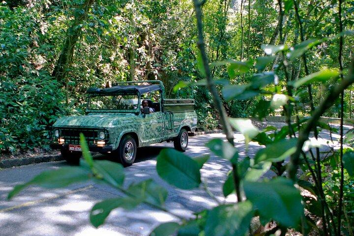 Rio de Janeiro Jeep Tour : Tijuca Forest