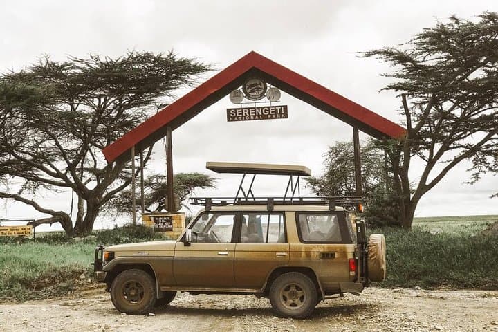 Full-Day Safari Tour Lake Manyara or Tarangire National Park