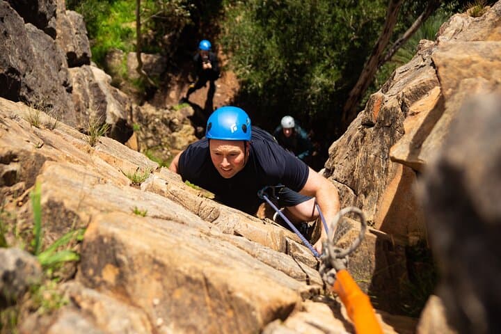 Rock Climbing and Abseiling in Adelaide