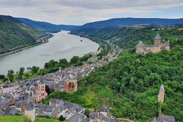 Private day trip to the Romantic Rhine Valley with river cruise and wine tasting