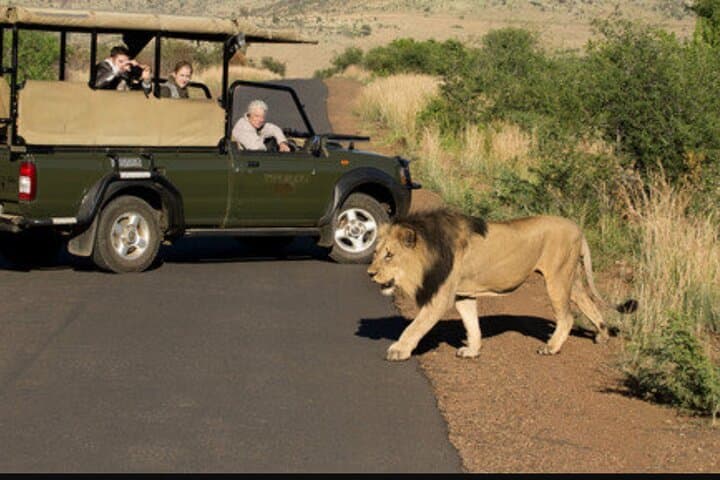 Full Day Safari Tour of Pilanesberg National Park, Open Jeep experience