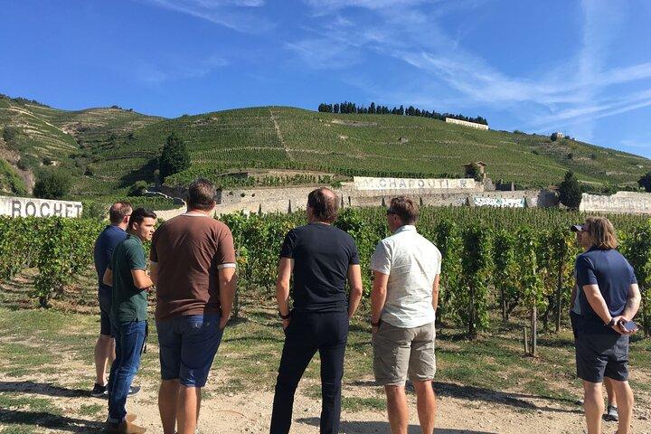 Northern Rhône Valley From Lyon Full day