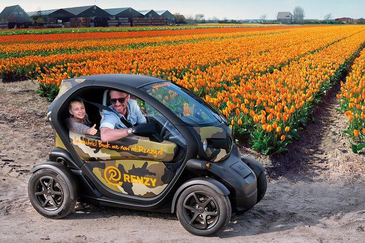 Tulip Fields near Keukenhof - Self-Drive Audio Tour for 2 People