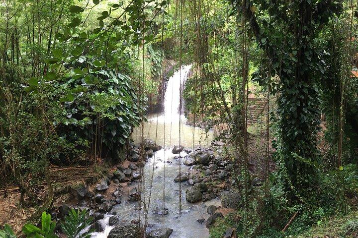 Grenada in a Nutshell- Deluxe Island Tour
