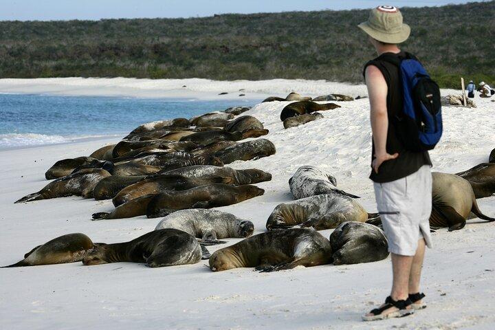 Galapagos Intensive 5 days, land base (3Islands) Excludes galapagos flight