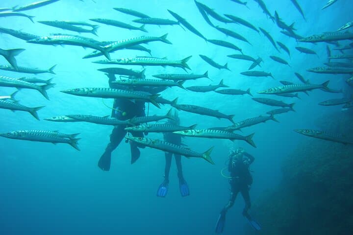 Baptism in the Northern Marine Reserve of Menorca
