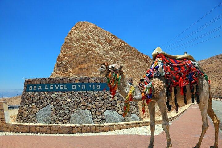 Masada & Dead Sea Small Group - from TLV | Incl. Fees & Pickup