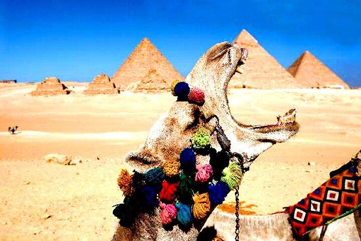 Tour Giza Pyramids, sphinx Egyptian Museum,Market,Camel Ride
