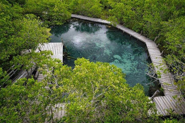Boat Tour of Three Islands in Holbox with Transportation