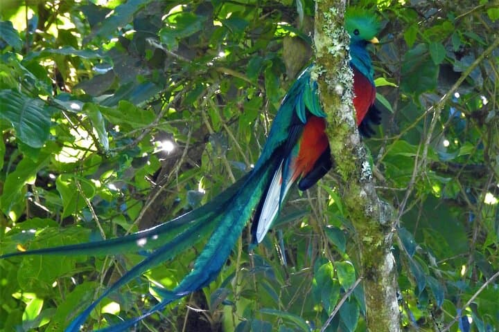 Quetzal tour on lake atitlan