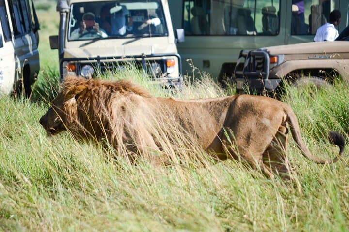 4 Days Tarangire ,Serengeti &Ngorongoro crater group Tour