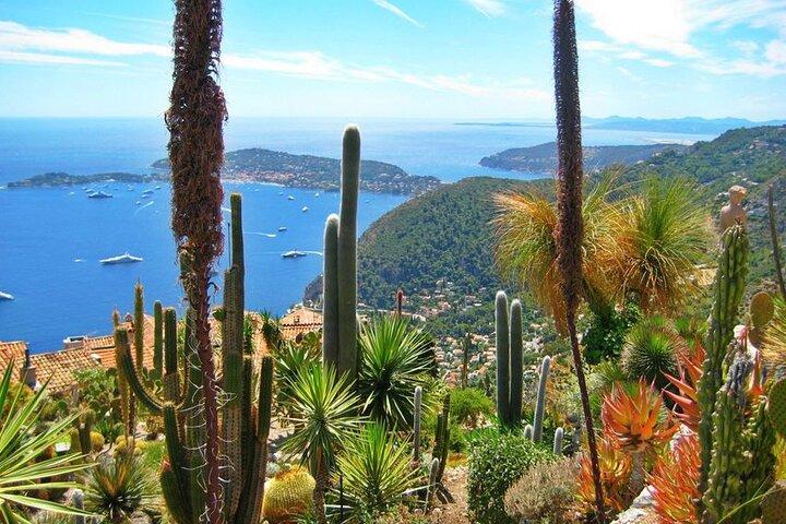 Private Customized French Riviera Tour from Port Villefranche 8H