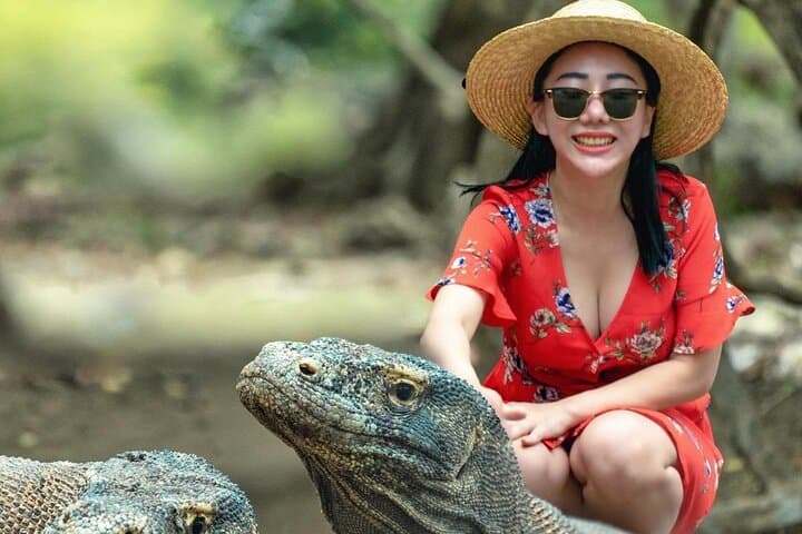 Daily Trip Highlight Komodo Archipelago by Speed Boat