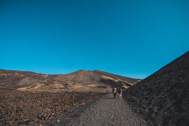 Etna Morning Tour from Catania