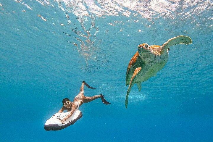 Seabob Rental in Guadeloupe