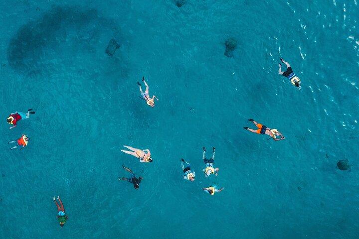Waikiki: 2-hour Turtle Canyon Snorkeling Adventure