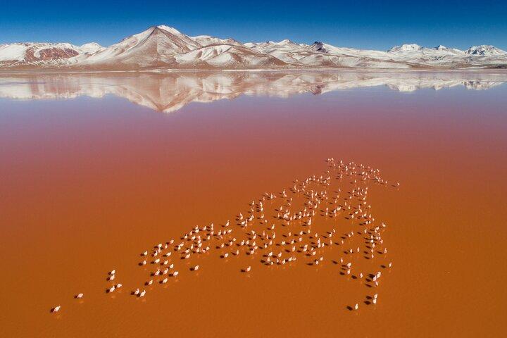 3-Days Tour to the Uyuni Salt Flat and Colored Lagoons +Sunset+Mirror Effect