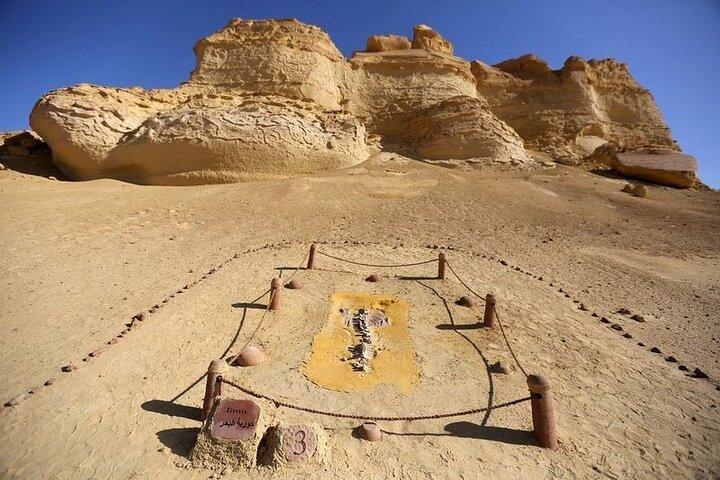 Private Tour to Whales Valley & Wadi El Rayan Waterfalls in El Fayoum from Cairo