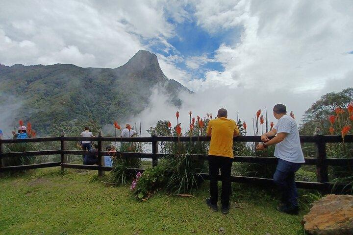 Tour Cocora Valley hummingbird circuit