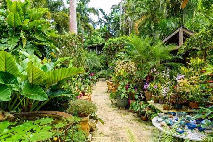 Gardens & Abbey