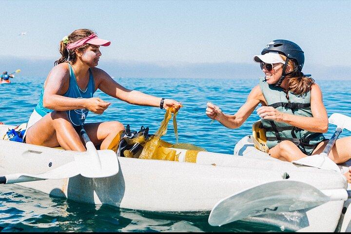 Original La Jolla Sea Cave Kayak Tour for Two