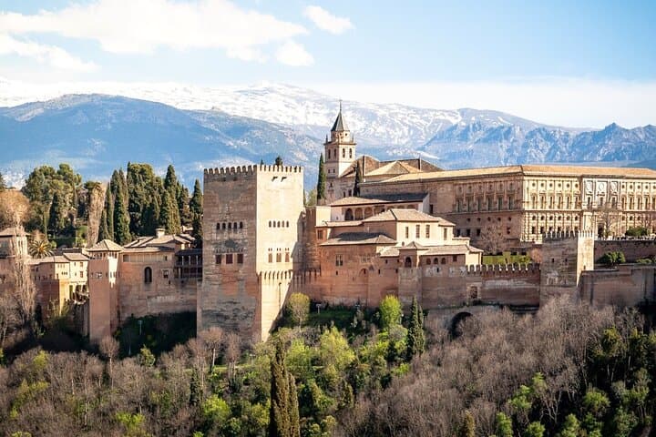Alhambra Private Tour: Nasrid Palaces, Alcazaba and Generalife