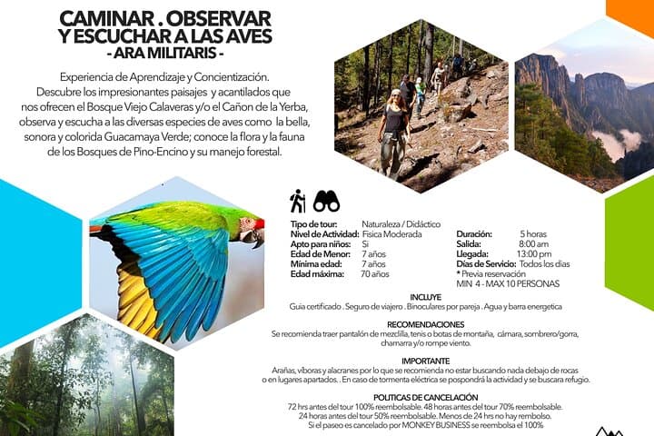 La Pirámide Park // WALK, OBSERVE AND LISTEN TO THE BIRDS