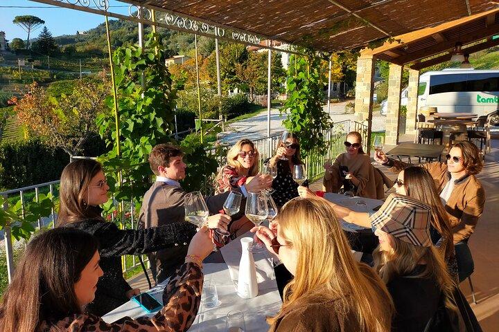 Wine tour in the hills of Lucca with sommelier - 2 wineries