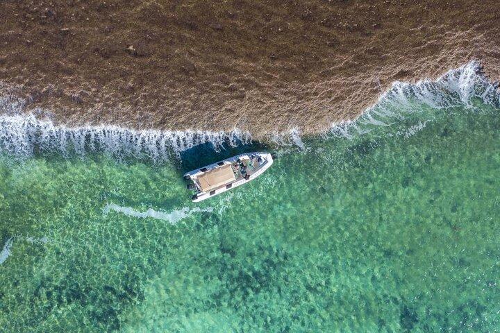 Cygnet Bay Sea Safari & Pearl Farm Tour Scenic Flight