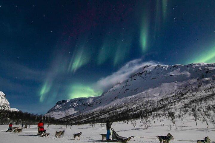 Arctic All-in-One Night: Dog Sledding, Snowmobiling & Aurora
