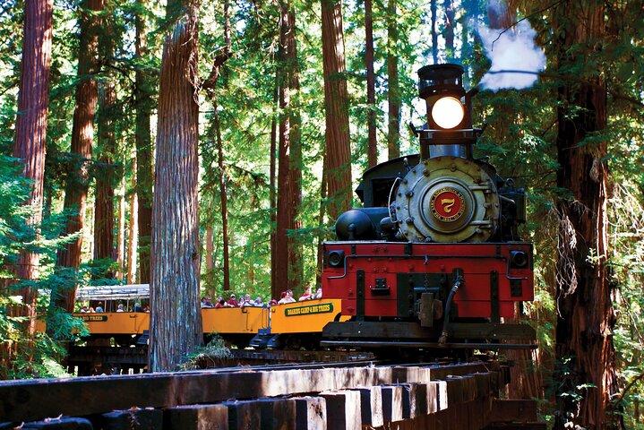 Redwood Forest, Santa Cruz Harbor 1-Day Trip from San Francisco