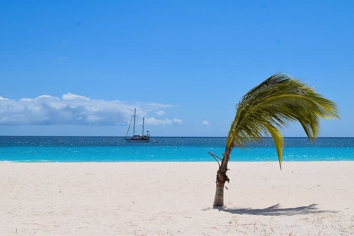 Barbados Shore Excursion: Bajan Highlights