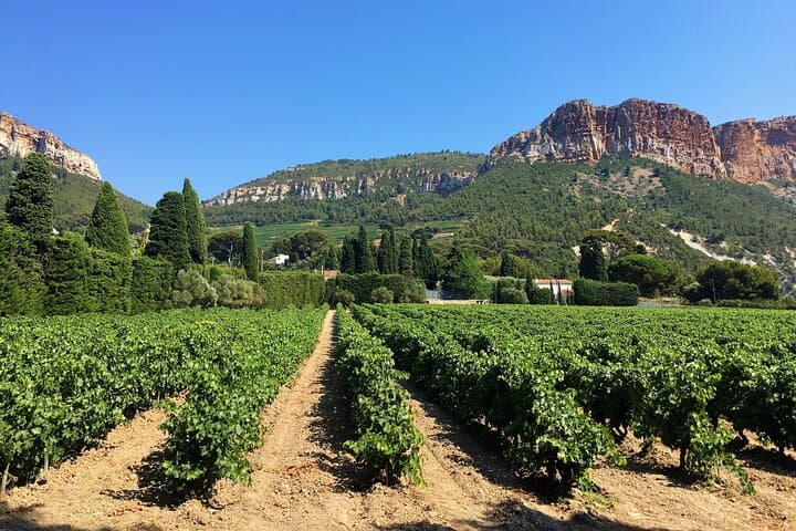 Marseille Shore Excursion - Full Day Wine Tour in Provence
