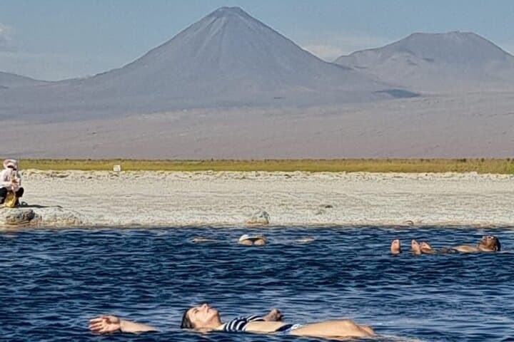 Half-Day Tour to Laguna Cejar