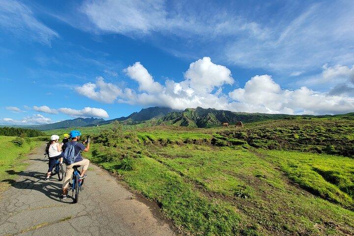 Private E-MTB guided cycling around Mt. Aso volcano & grasslands