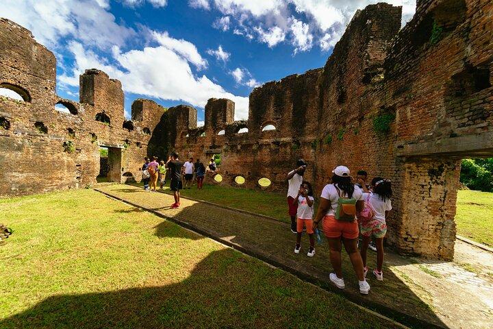 5 Island and Town Hopping Tour with Lunch