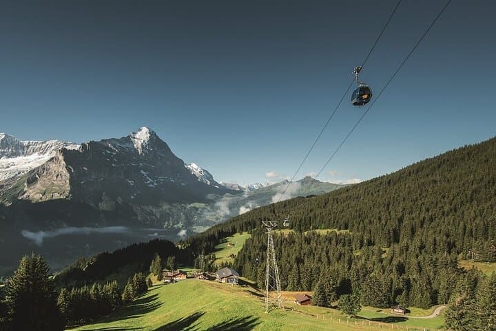 Grindelwald First Mountain Adventure Day Trip from Lucerne