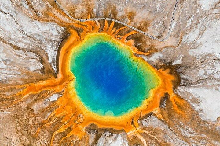 Yellowstone Lower Loop VIP Full-Day Private Tour with Lunch