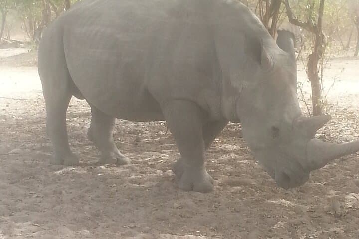 Safari Game Park