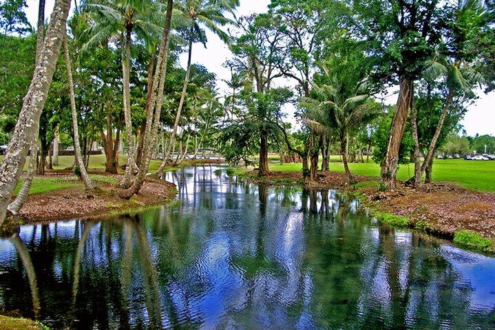 Hilo Town Tour Hop on Hop off experience