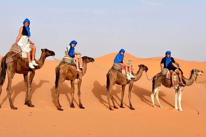 Tour from Ouarzazate to Vallee Du Draa and Dunes Of Tinfou