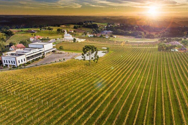 Tour Gran Reserva - Valley of the Vineyards