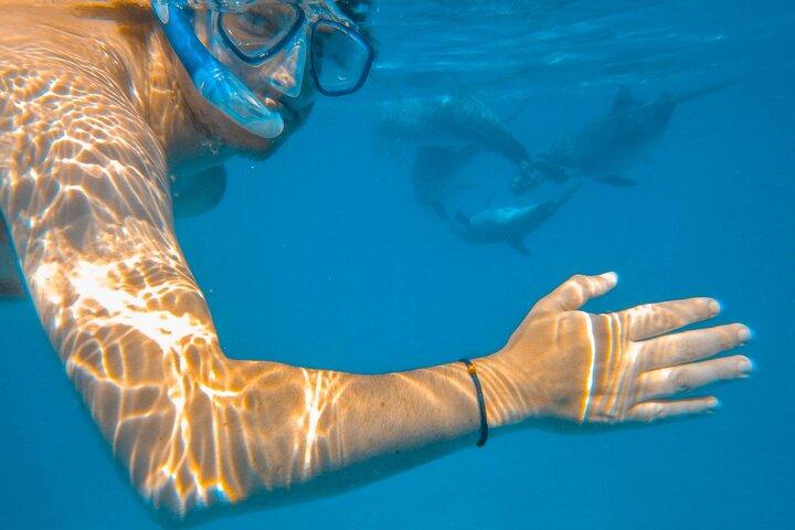 Full-Day Special Wasini Island Tour with Snorkeling and Lunch
