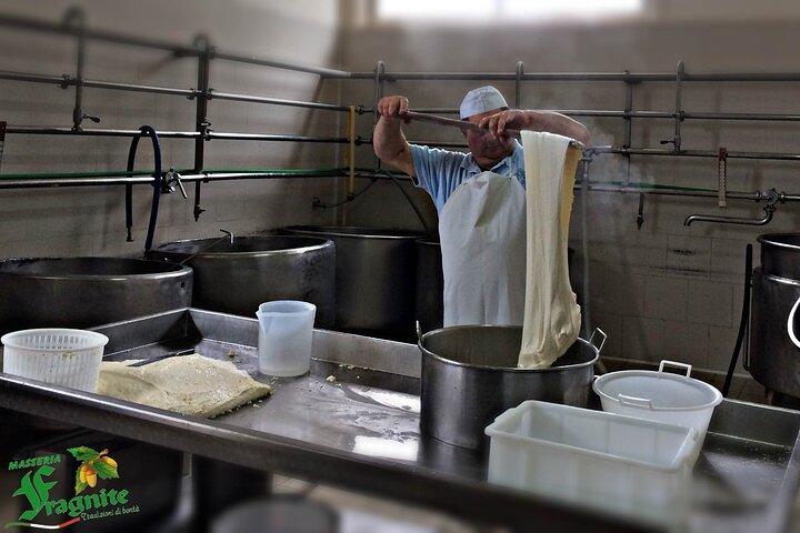 Mozzarella Experience - Cheese Tour and tastings to Masseria Fragnite