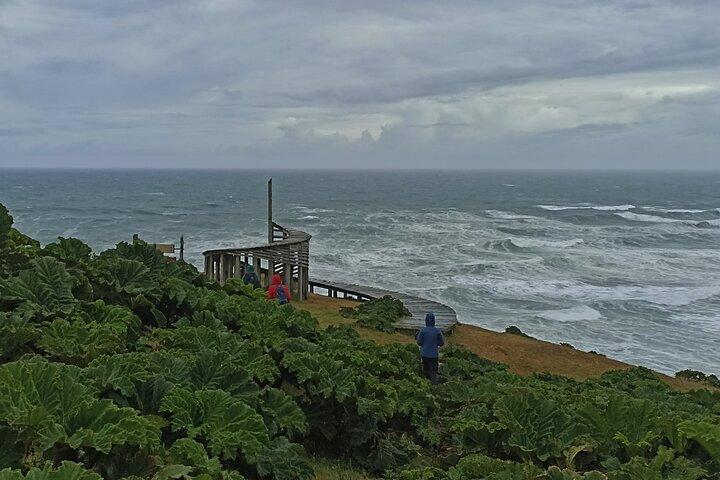 Private Activity Hiking, Time Wharf - Tricolor.