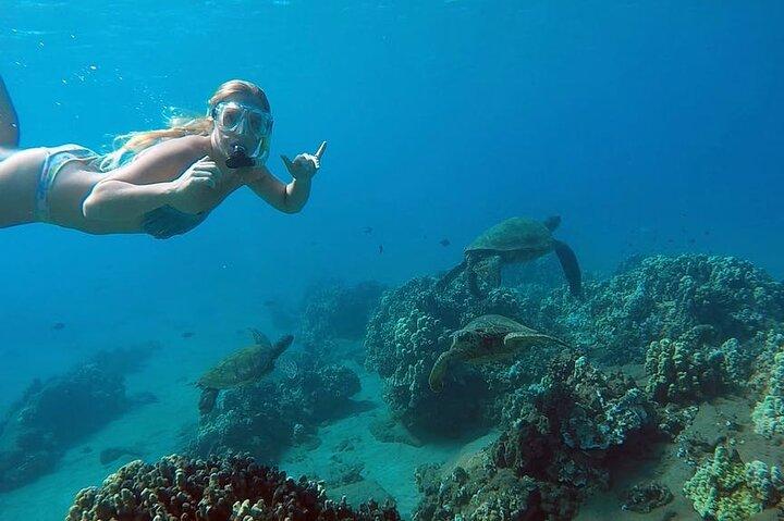 San Juan Guided Turtle Snorkel Tour and Complimentary Videos