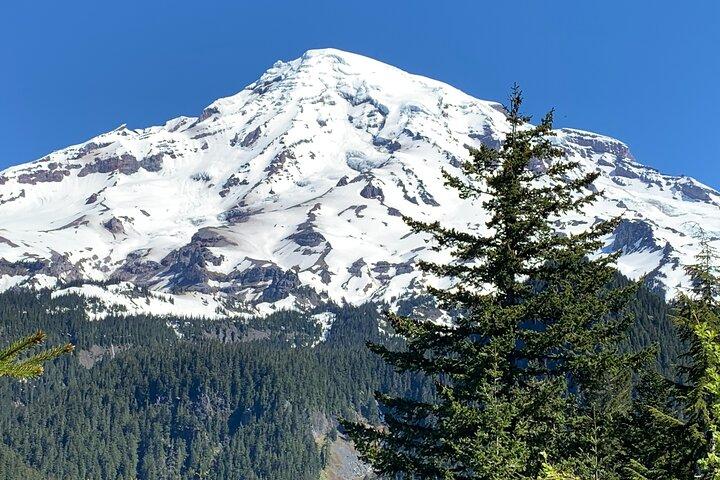 Guided hike on Mt. Rainier - old forest, falls and glacier views