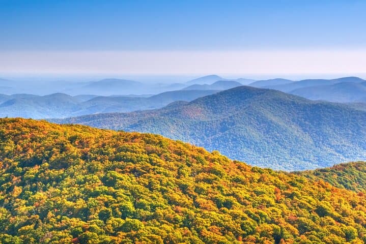Half-Day Wine Tastings in the North GA Mountains from Atlanta