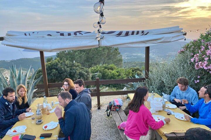 Authentic Elba Farm Experience with Dinner, Wine & Sea Views